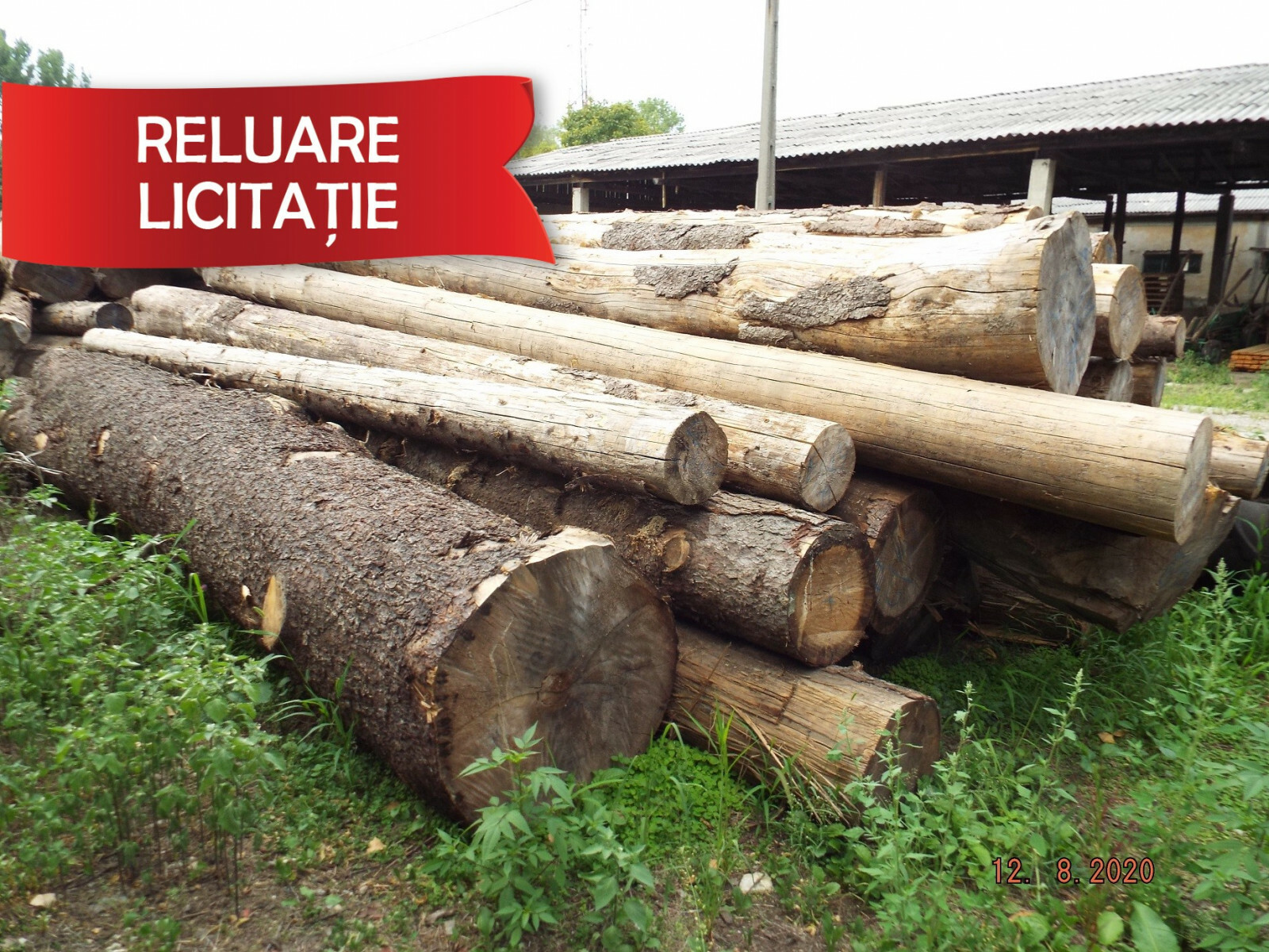 Material Lemnos: Lot 3 - 53,73 m3 lemn rotund esență rășinoasă, specia molid